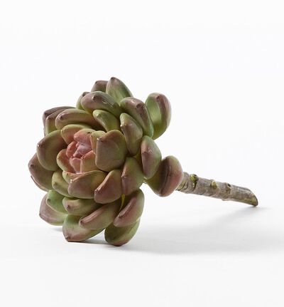 Kunstig mini Echeveria  Kunstig mini Echeveria